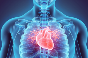 انجام آزمایش NT.pro BNP در آزمایشگاه دکتر حسن زاده
آبان 17 1401/۰ دیدگاه /در اخبار /توسط ویرایشگر سایت
در این مرکز آزمایش NT.pro BNP با متد ELFA بر روی دستگاه Vidas full انجام می شود.
تشخیص نارسائی قلبی اغلب بوسیله معاینه بیمار و روش های مختلف تشخیصی صورت می گیرد.
در طی معاینه بیمار ورم (آماس) تنگی نفس و یا مشکلات تنفسی مورد بررسی قرار می گیرد. با این وجود این علائم و نشانه ها می توانند در طیف گسترده ای از بیماریهای دیگر مثل واکنشهای آلرژیک و نارسائی کلیوی نیز حضور داشته باشند. بنابراین تداخل علائم سایر بیماریها می تواند پیچیدگی های را در تشخیص نارسائی قلبی ایجاد نماید بطوریکه منجر به مغشوش شدن نتایج می گردد.
کاربردهای NT-Pro BNP:
• این آزمایش می تواند تحت شرایط مختلفی انجام شود.
• در مراقبتهای ویژه : پزشکان ممکن است دستور تعیین سریع میزانPro-BNP را برای بیماری که از نارسائی قلبی و با سایر عوارض درد می کشد تجویز نمایند.
• چنانچه مریض با علائم و یا نشانه های نارسائی قلبی در مطب دکتر حضور یابد جهت تعیین قطعیت این آزمایش توصیه می گردد.
• اگر قبلاً نارسائی قلبی در بیمار تشخیص داده شده باشد و هم اکنون تحت درمان قرار گرفته باشد این آزمایش می تواند جهت پیگیری تاٴثیر درمان مورد استفاده قرار گیرد.
ویژگی های کیت NT-Pro BNP وایداس
• آزمایش NT-Pro BNP با احتمال ۹۸ درصد اجتناب از جوابهای کاذب منفی، پیش بینی CHF و نارسائی قلبی را امکان پذیر می کند.
• تعیین ریسک CHF، نظارت و بازبینی بر درمان CHF
• تشخیص CHF در بیماران با تنگی نفس و تعیین اینکه آیا علائمی مانند تنگی نفس، ورم و خستگی مربوط به نارسائی قلبی هستند یا بیماری های تنفسی
• شناسائی بیمارانی که هم اکنون نارسائی قلبی دارند.
غربالگری عملکرد نامناسب سیستولیک و یا دیاستولیک بطن چپ
تفسیر نتایج آزمایش NT-Pro BNP وایداس:
اگر آزمایش مشخص کند که سطح NT-Pro¬BNP بیمار بالا رفته است این شخص شانس زیادی برای شروع نارسائی دارد. مقادیر بالاتر Pro-BNP با نارسائهای قلبی شدیدتر تطابق دارد. مقادیر بالا می تواند همچنین بیماریهای کلیوی را مشخص نماید.
بعید بنظر می رسد که افراد با علائم بیماریهای قلبی که مقادیر NT-Pro¬BNP آنها در یک محدوده نرمال قرار دارد مبتلا به CHF باشند. بعکس افزایش سطح این مارکر قلبی نسبت به مقادیر نرمال ضرورت انجام ارزیابی های قلبی را و همچنین ریسک ابتلای بیمار به نارسائی قلبی را تعیین می کند.
منابع:
Biomerieux-diagnostics.com
Fardavar.com

